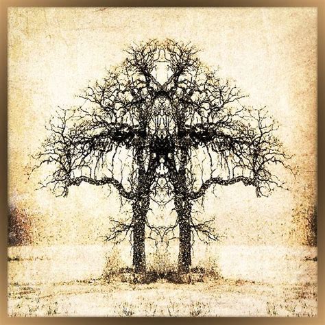 Symmetry Tree By Amira Digital Art Gallery Art Art Gallery