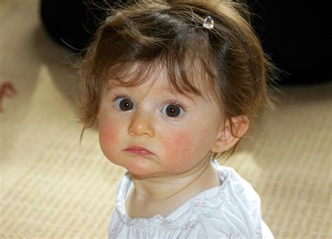 Little Girl Portrait Face Big Free Photo On Pixabay