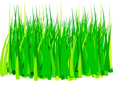 Padi clipart 20 free Cliparts | Download images on Clipground 2021