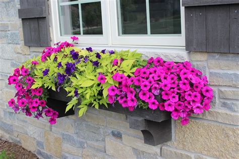 Pretty planters (20 of them)!