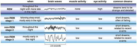 The Science Of Dreams · Frontiers For Young Minds