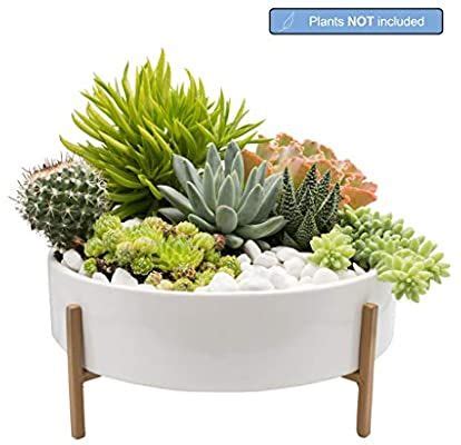 Amazon.com : Joda 10 Inch Mid Century Succulent Planter ... 8 plant stands & standing planters you can shop now.