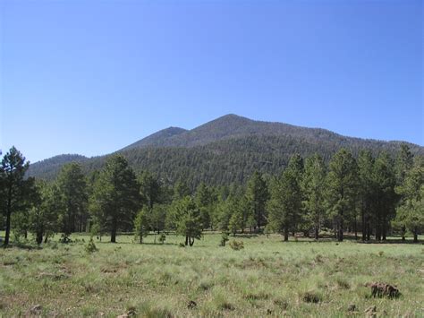 Kendrick Peak Arizona Peakbagging Highpoints And Mountains