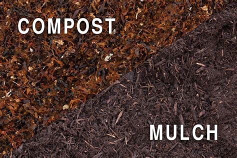 Compost And Mulch Secrets And Tips Petersons Landscape