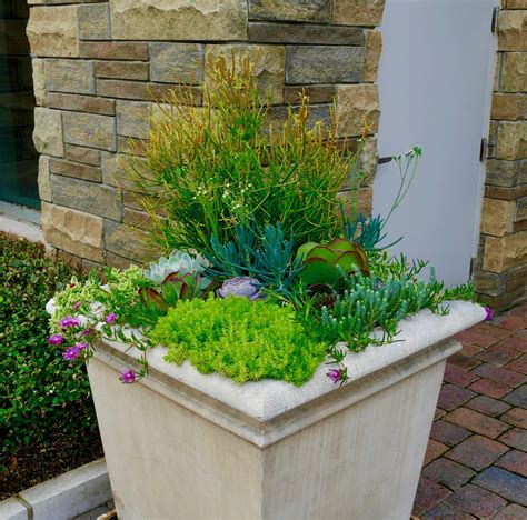 Planted is a talent community. Succulent Planting | Interiorscapes, Inc