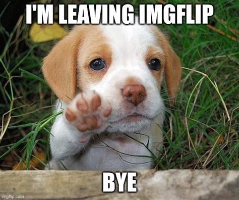 Bye Imgflip