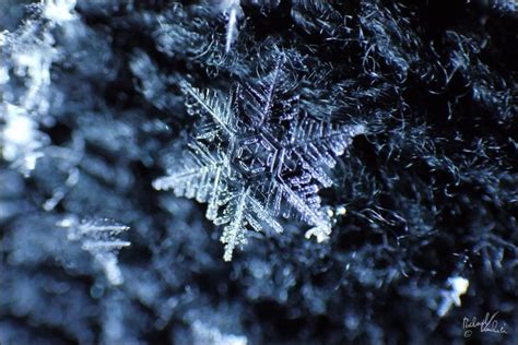 The True Story Behind The Snowflake Uniqueness