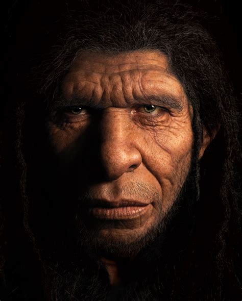 Homo Naledi Human Holobaramin Evidence Answers Research Journal