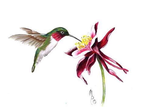 See more ideas about drawings, hummingbird drawing, flower drawing. Paint Page: Hummingbird | Hummingbird painting acrylic ...