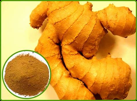 Pure Ginger Extract Gingerols 6 At Rs 1315kilogram अदरक