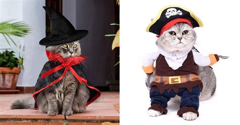 Best Costumes For Cats Popsugar Uk Pets