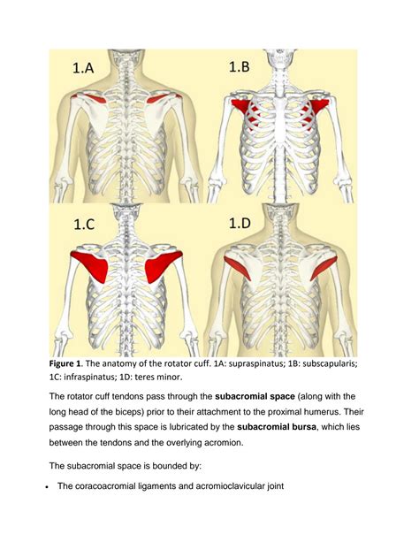 Solution Subacromial Impingement Syndrome Surgery Notes For Medical