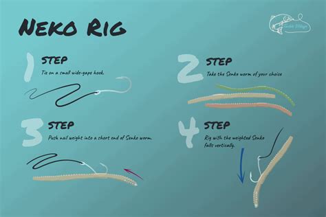 How To Rig A Worm For Bass Popular Set Ups Explained