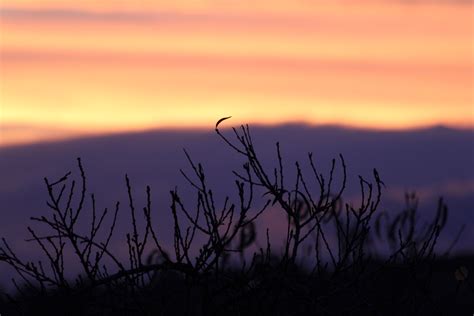 Free Images Nature Horizon Cloud Sunrise Sunset Prairie