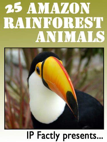 25 Amazon Rainforest Animals Amazing Facts Photos And Video Links To