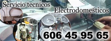 Servicio Tecnico Electrodomesticos 24 Horas En Molina Del Segura Valencia Reparacion De