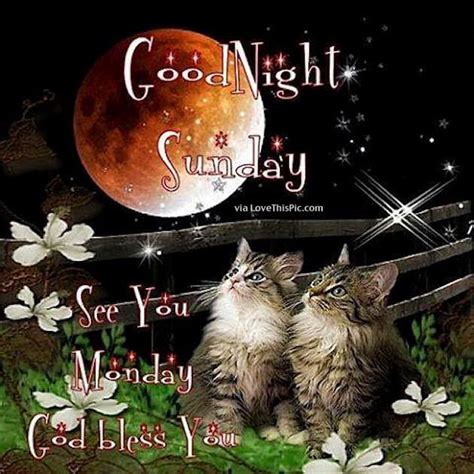 Good Night Sunday Good Night Sunday Happy Sunday Quotes Blessed Night