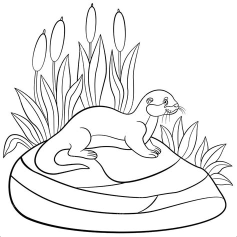 Simple Otter Coloring Pages