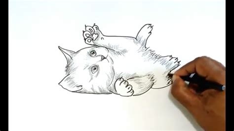 how to draw a kitten youtube