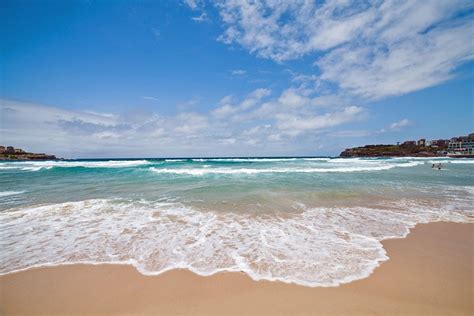 Top Beaches In Sydney Australia Planetware