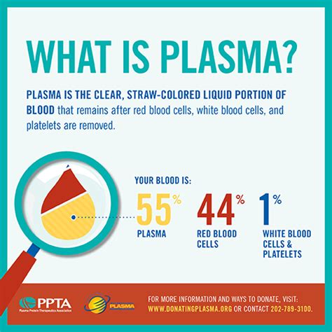 Who Can Donate Plasma