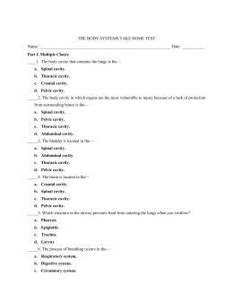 Human body systems matching flashcards quizlet. Human Body Systems Matching Worksheet Answers Worksheets ...