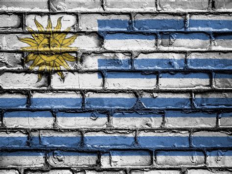 Operação No Uruguai Revela Exploração Sexual De Menores Na Internet Por Homens Influentes