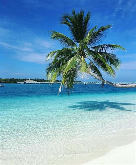 The Maldives 😍😍😍 Vacation Places Dream Vacations Vacation Spots