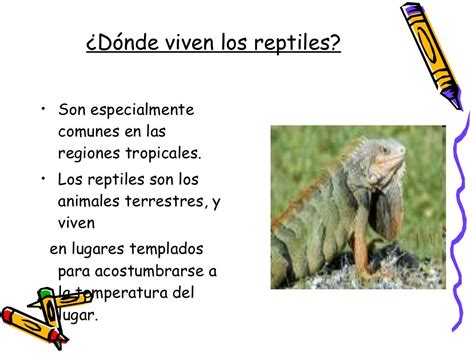 Los Reptiles