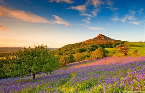 Spring Travel To Great Britain 6 Reasons This Is A Top Time To Visit