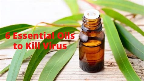 Actually, under certain circumstances, yes. 6 Essential Oils to Kill Virus - Goodmart