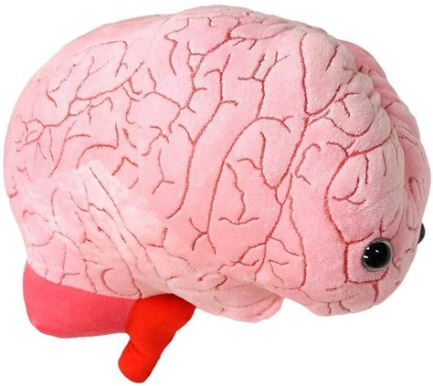 Giantmicrobes Gigantic Brain Organ Organs Brain Piggy