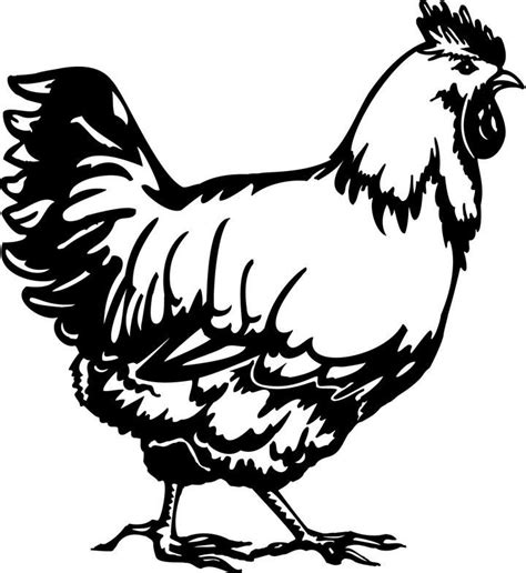 Chicken Black And White Clipart Free Download On Clipartmag