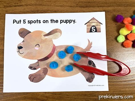 Spots On The Puppy Counting Math Prekinders