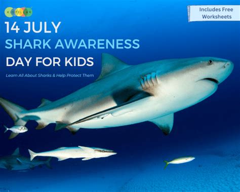 Sharks Awareness Day For Kids With Free Printable
