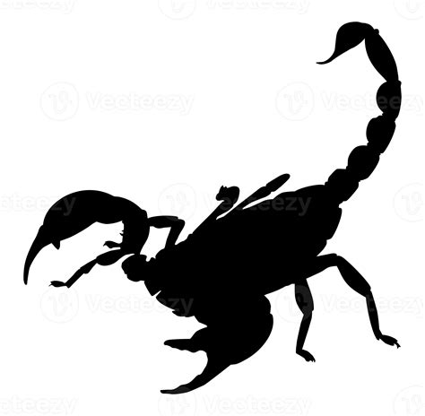 Free Scorpion Silhouette For Logo Or Graphic Design Element Format PNG PNG With