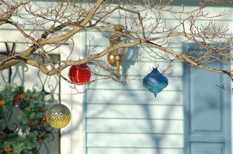 Outdoor Christmas Decorating With Trees And Foliage