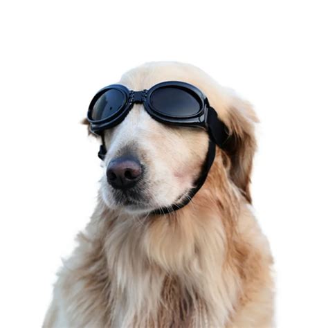 Nicrew New Attractive Pet Dog Sunglasses Multi Color Fashionable Water