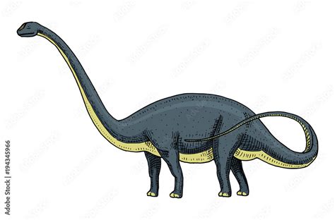 Dinosaur Brachiosaurus Or Sauropod Plateosaurus Diplodocus