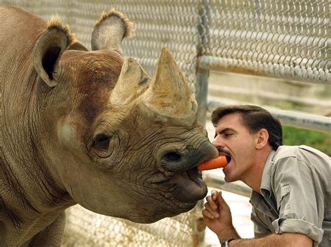 Meet The 25 Most Famous Zoo Animals Of All Time Always Pets