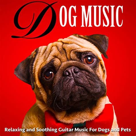 Relaxing And Soothing Guitar Music For Dogs And Pets