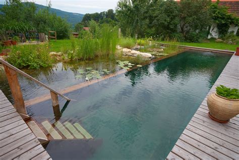 Our Projects | Natural Swimming Pools Australia | Natural swimming ponds, Natural pool, Natural ...