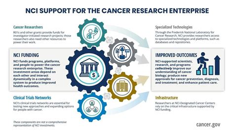 Nci Funding Support For Cancer Research Nci
