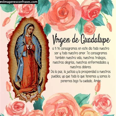 ⭐ Imágenes De La Virgen De Guadalupe Para Descargar Gratis ⭐