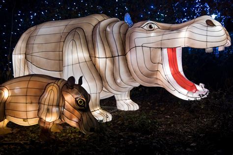 Merry And Bright 6 Best Holiday Light Displays In Ohio
