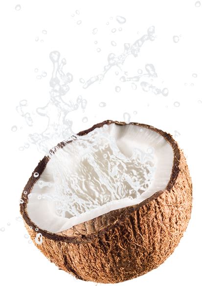 In the large coconut png gallery, all of the files can be used for commercial purpose. Coconut PNG Transparent Images, Pictures, Photos | PNG Arts