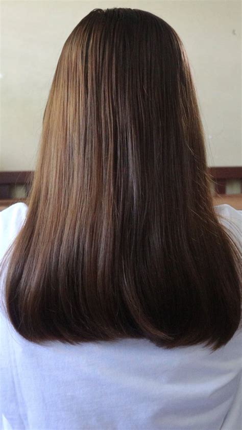 Coklat Karamel Cat Rambut