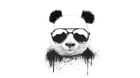 4k Panda Wallpapers Bigbeamng