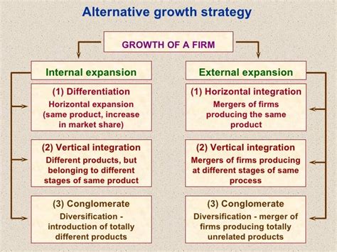 Business Growth And Strategy