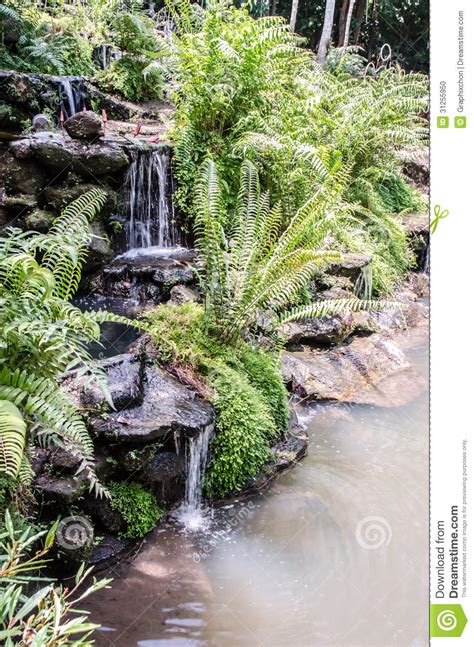 Waterfall Stock Photo Image Of Tropical Fall Environment 31255950